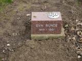 image of grave number 239242
